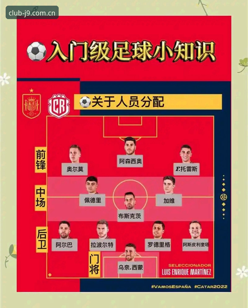 世界杯观赛签证难题全解析——资深球迷的避坑指南与平台体验分享